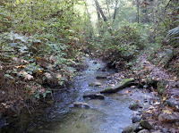 Coal Creek Photo