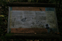 Meadow Restoration Information 2 Photo