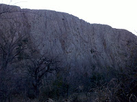 IMG_20101205_153318.jpg Photo