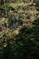 Low Waterfall Photo