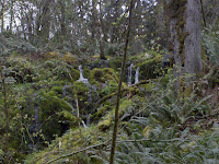 Falls in January Photo