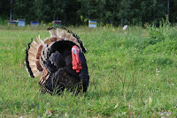 IMG_8778.JPG Photo
