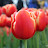  &ndash; 04-Apr-2010