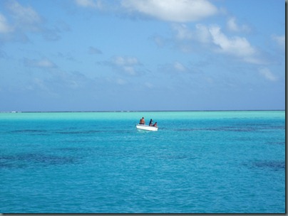 IMG_4732 IMG_4732