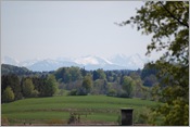 DSC_0336
