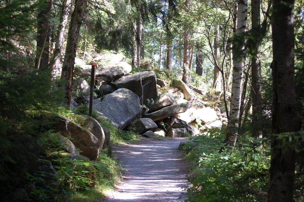 [DSC_0684 (Large)[2].jpg]