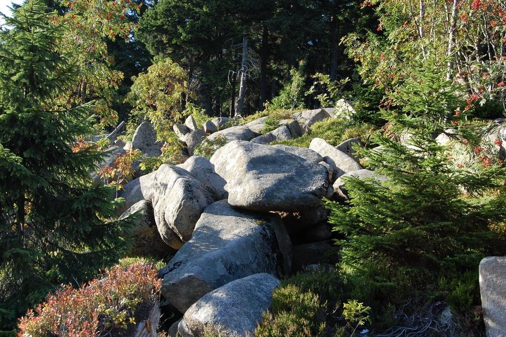 [DSC_0824 (Large)[2].jpg]