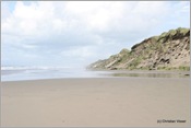 IMG_0379 (Large)