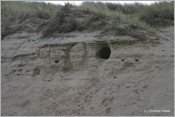 IMG_0386 (Large)