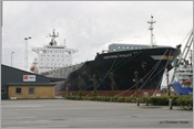 IMG_0442 (Large)