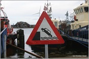 IMG_0461 (Large)