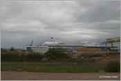 IMG_0557 (Large)