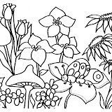 Riscos - flores