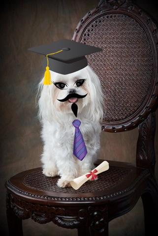 [snowy grad[2].jpg]