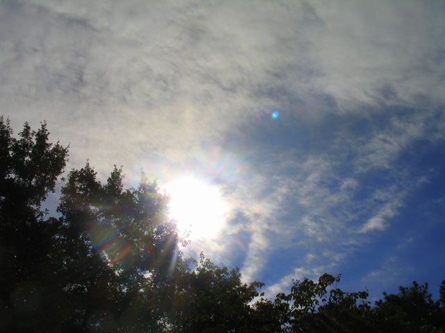 [IMG_79432.jpg]