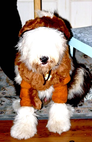 [Chaucer the Cowardly Lion[3].jpg]