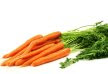 Photo of the item - Carrots 