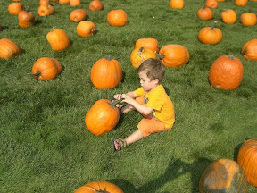 Pumpkin Patch time