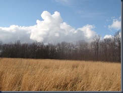 P3120019