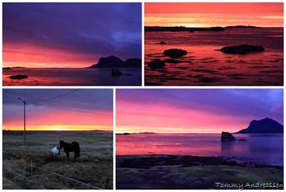 lofoten_mosaik lofoten_mosaik