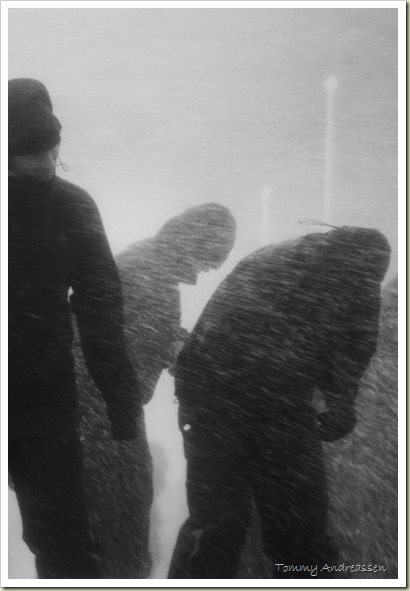 Storm_Moloen_IMG_8847 Storm_Moloen_IMG_8847