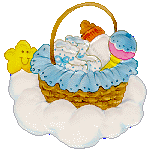 baby-basket