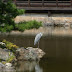 DSCN0703.JPG, Kyoto