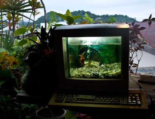 [AquaComputer_sml1[14].jpg]