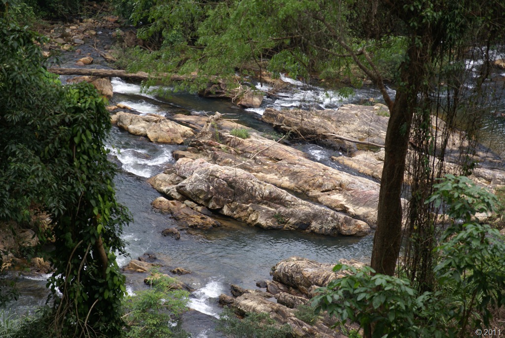 [DSC048477.jpg]