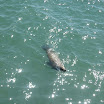 IMG_2676.jpg