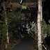 IMG_3914.JPG