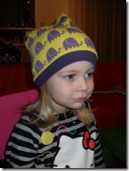 SDC17035 SDC17035