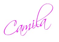 [assinatura camila[5].jpg]