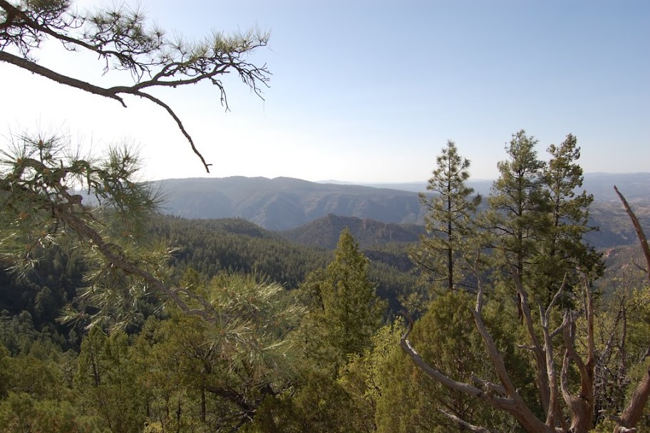 [Image: DSC_0251.JPG]