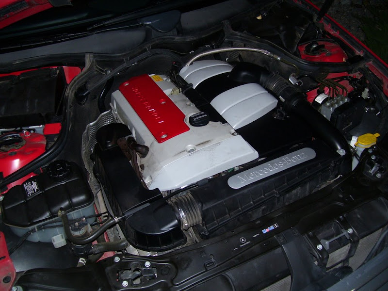 [Image: 100_0277.jpg]