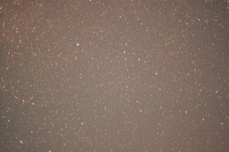 [Image: DSC_2767.JPG]