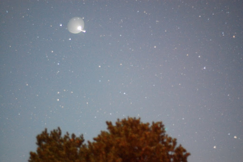 [Image: DSC_2772.JPG]