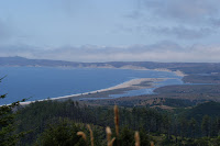 DSC03595.JPG