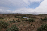 DSC03815.JPG