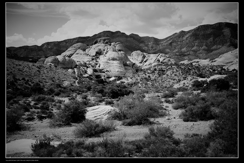 IMAGE: http://lh4.ggpht.com/_ux3BqxhvvGM/SoZXmQFoIbI/AAAAAAAAGYg/FoV5pl9uYaY/s800/IMG_4747%20BW.jpg