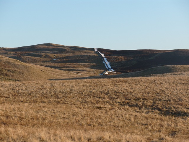 [S10541723.jpg]