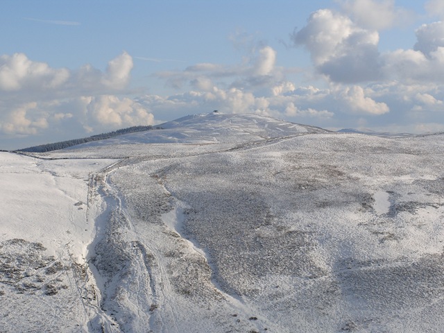 [S10544923.jpg]