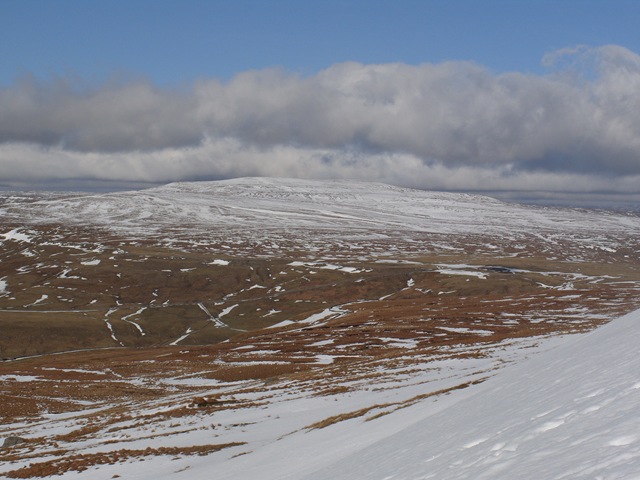 [S10546053.jpg]