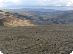 S1054816