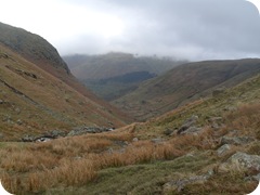 S1055171