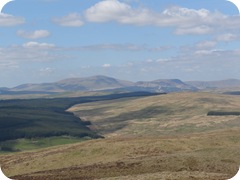 S1055231