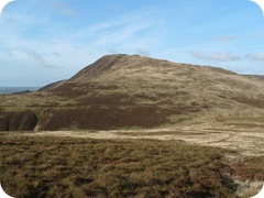 S1053152 S1053152