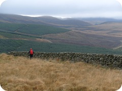 S1053455