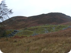 S1053669