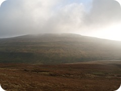 S1053814